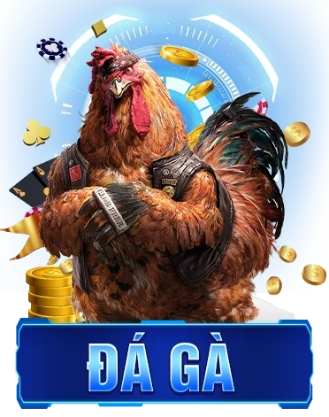 DG